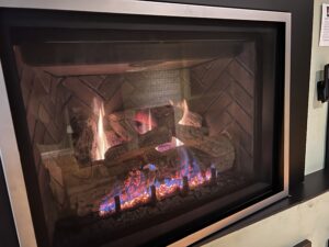 gas insert fireplace floor model